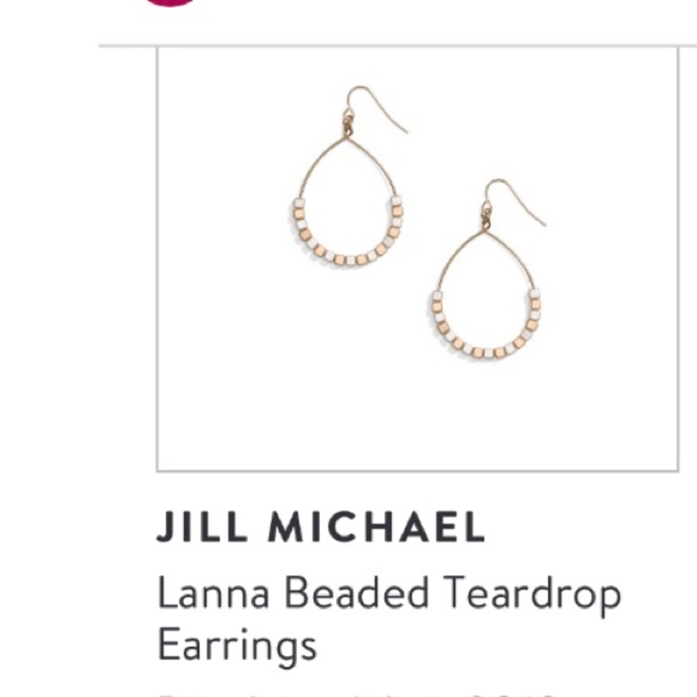 Stitch Fix still in box earrings